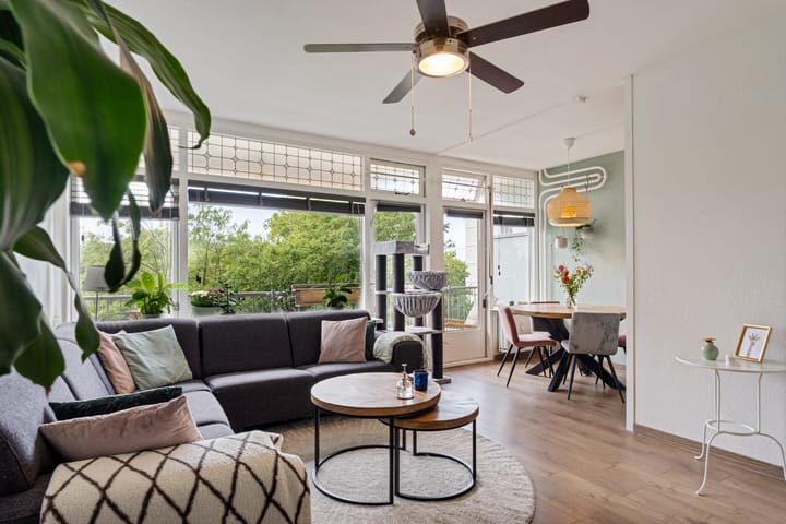 Foto 2 van Elviraland 220