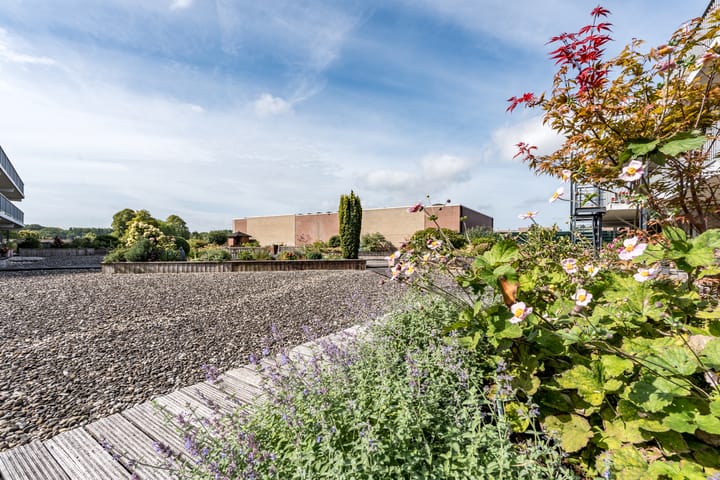 Foto 10 van Schutsplein 90