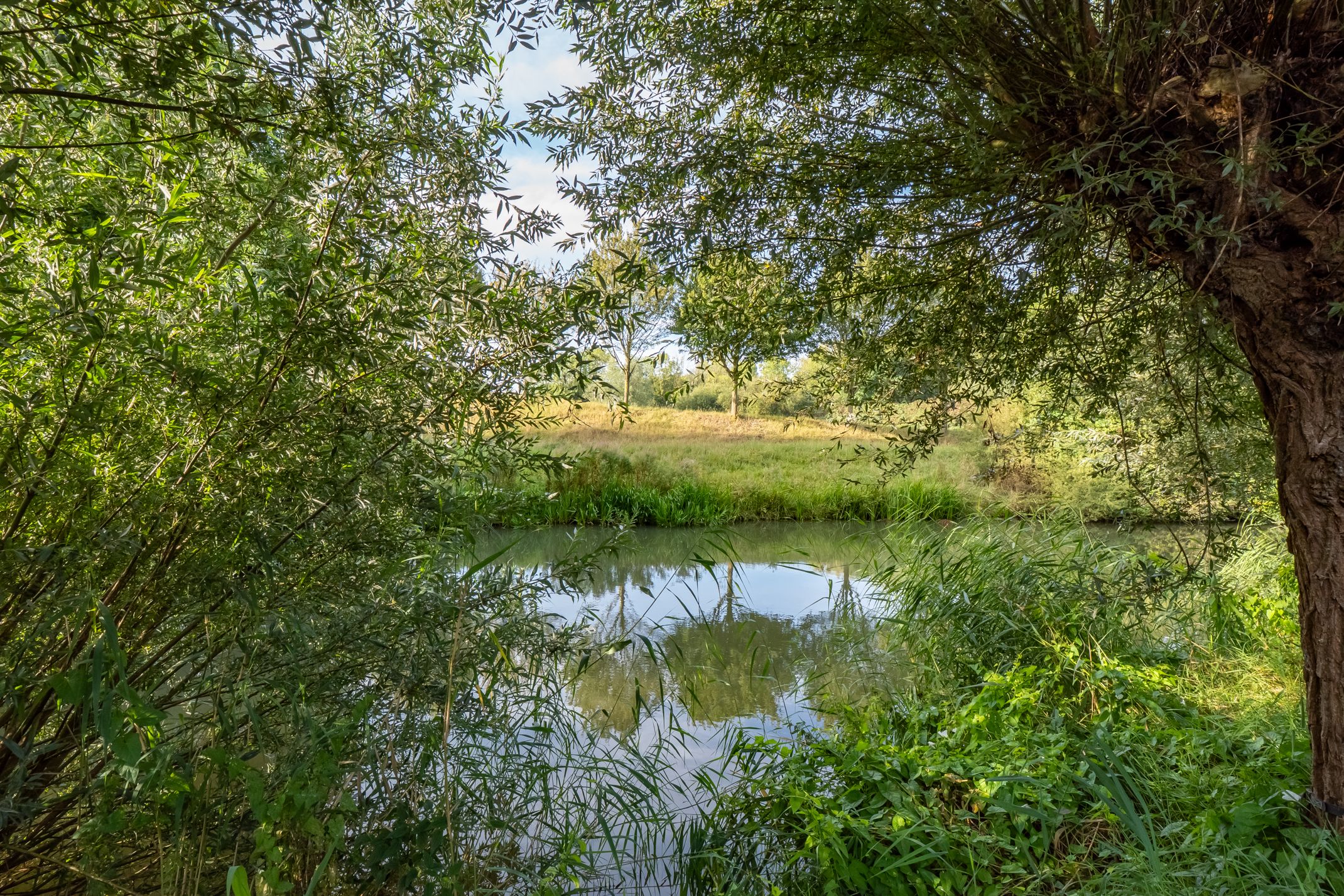 Foto 48 van Filipijnen 157