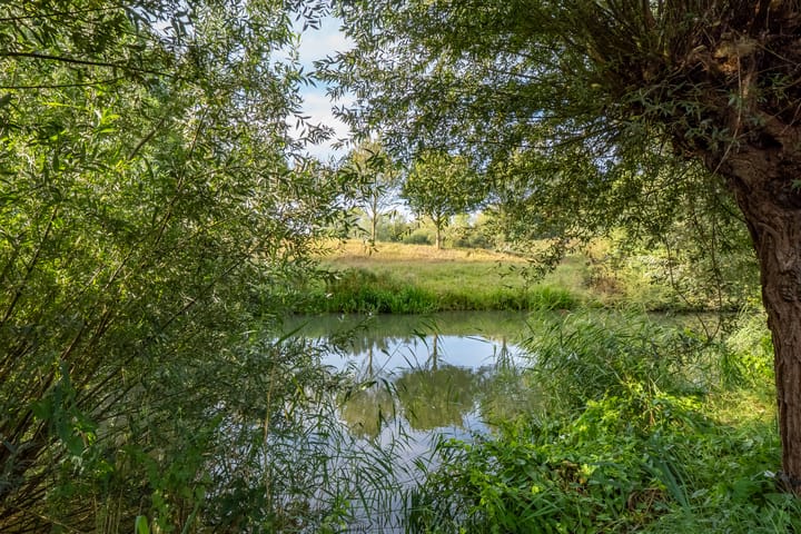 Foto 48 van Filipijnen 157