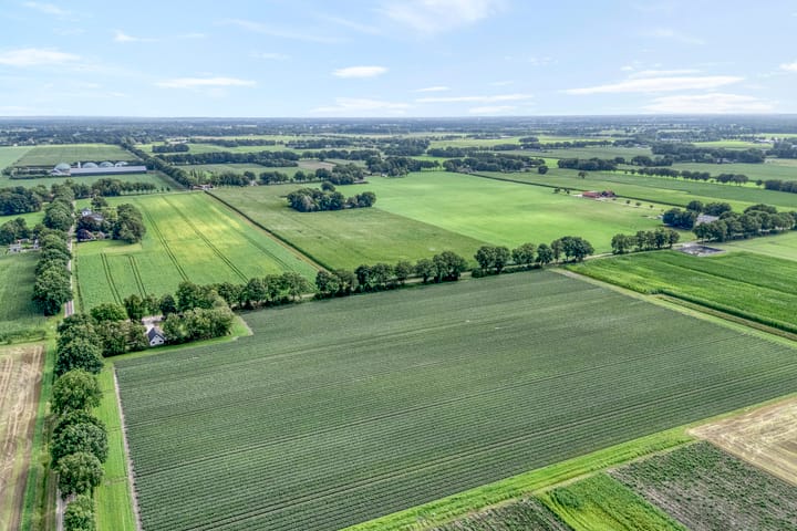 Foto 41 van Capellastraat 10