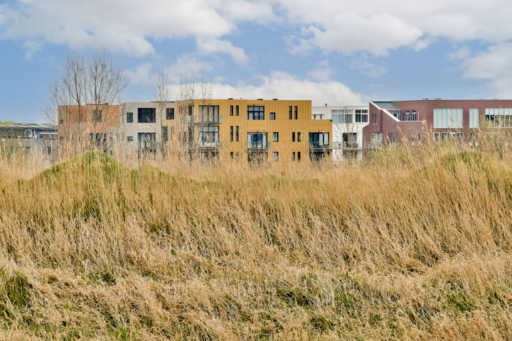 Foto 25 van Francisco Pizarrostraat 102