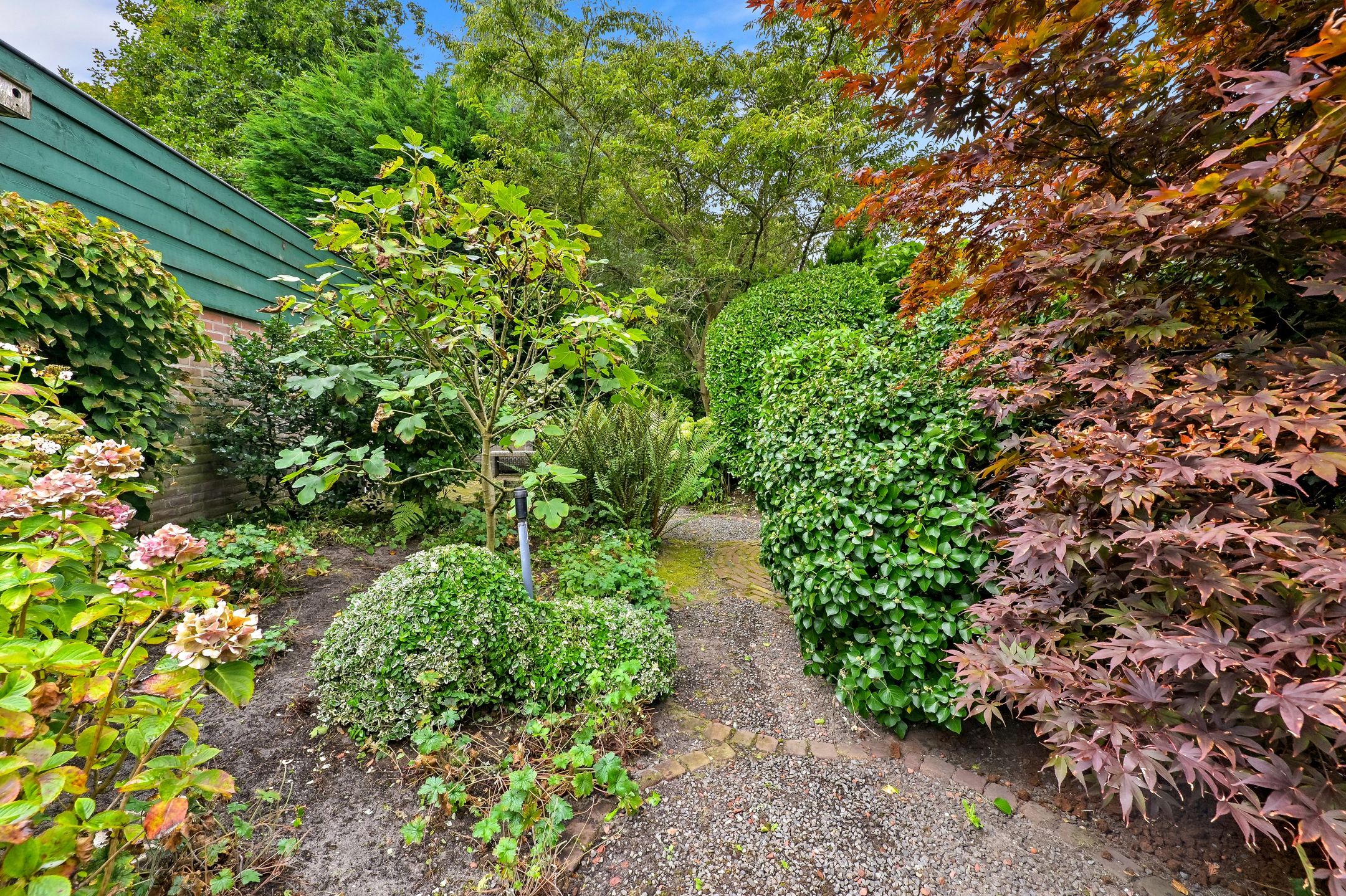 Foto 21 van Rodelaan 5