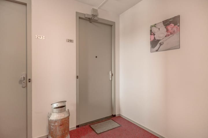 Foto 10 van Buizerdhof 291