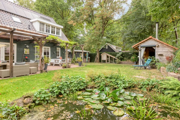 Foto 38 van Geranium 72