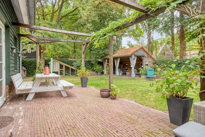 Foto 47 van Geranium 72