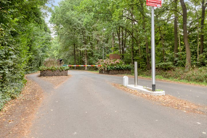 Foto 50 van Geranium 72