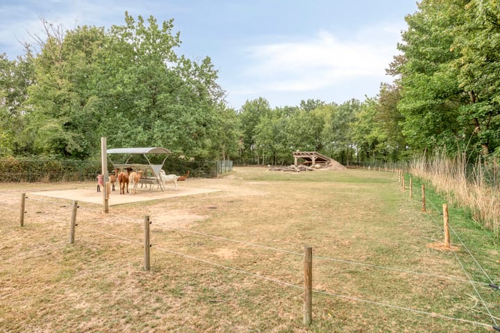 Foto 51 van Geranium 72