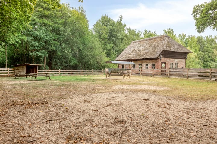 Foto 52 van Geranium 72