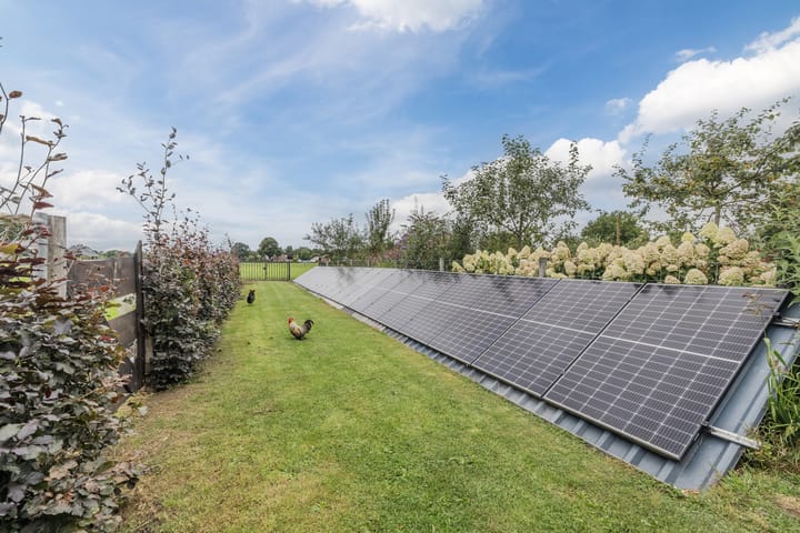 Foto 64 van Holthe 11