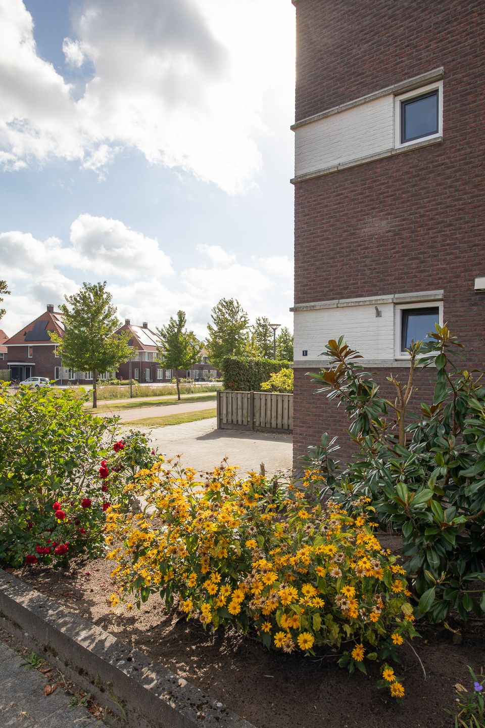 Foto 60 van Waterkering 1