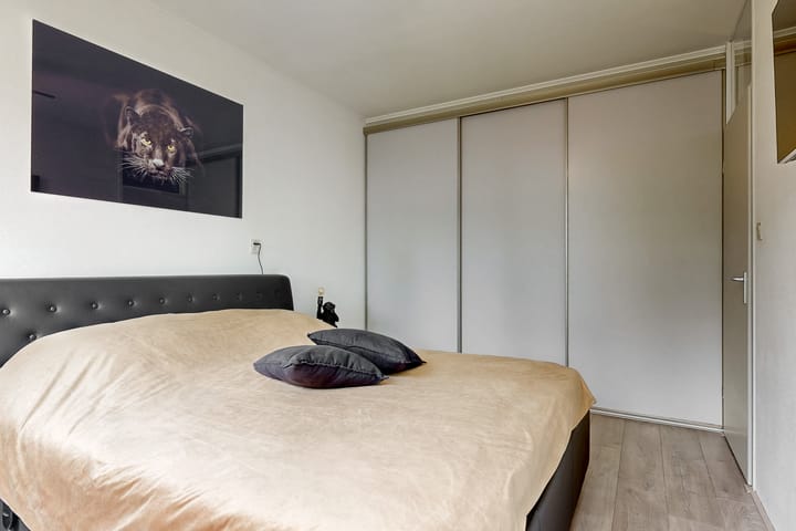 Foto 18 van Brouwersveld 49