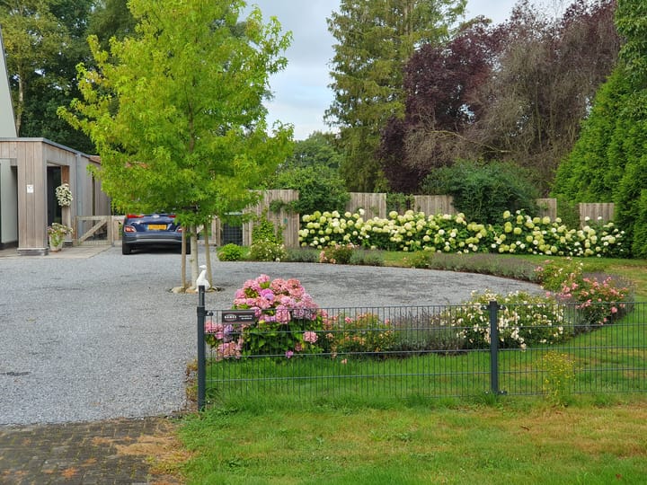 Photo 18 of Burgemeester Wynoldyweg 10