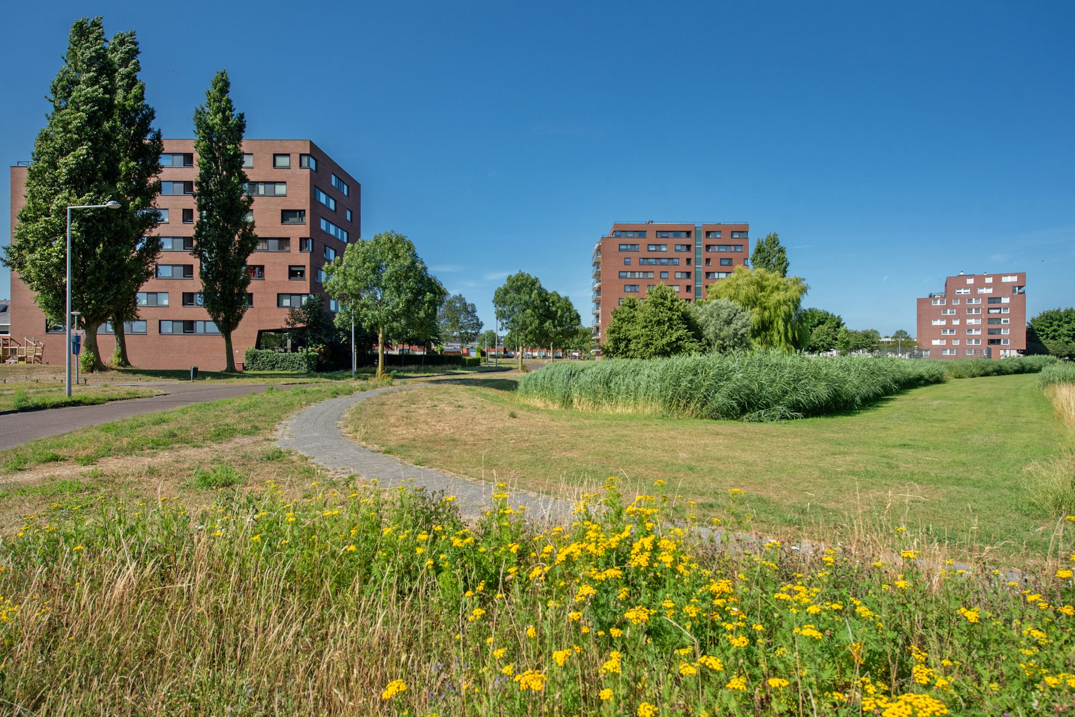 Foto 6 van Waterleliekade 25