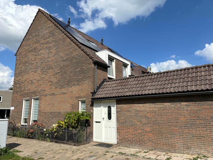 Photo 8 of Paardebloem 131