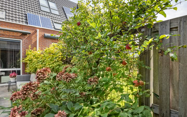 Foto 25 van Zandoogjestraat 9