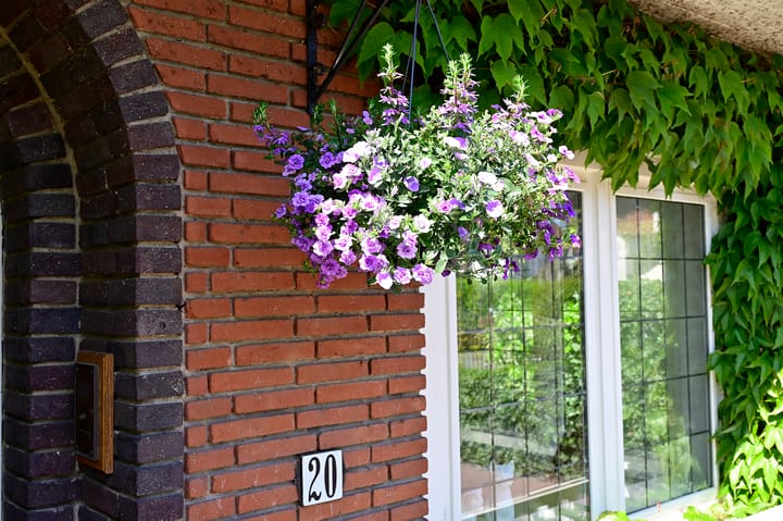 Foto 43 van Zonnelaan 20