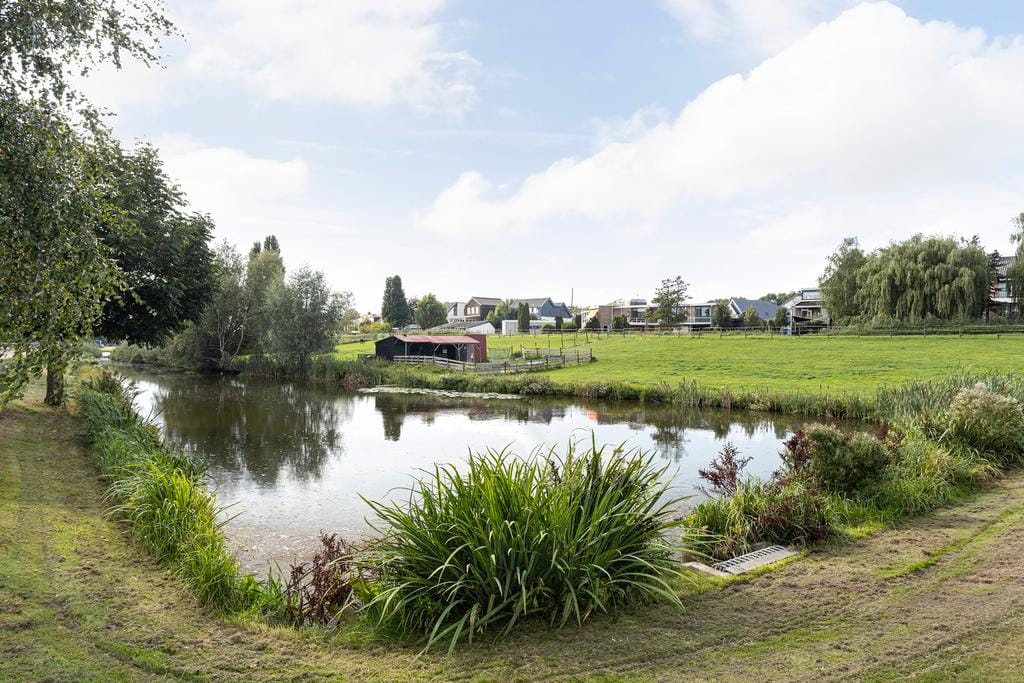 Foto 29 van Dirk van der Kooijweg 10