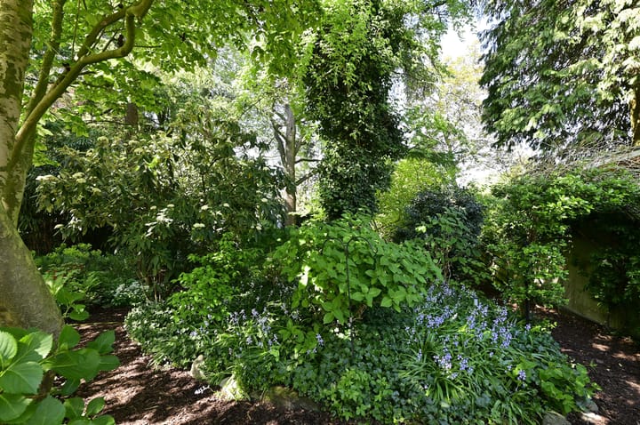 Foto 36 van Zonnelaan 20