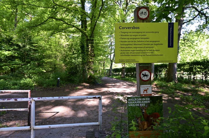 Foto 53 van Zonnelaan 20