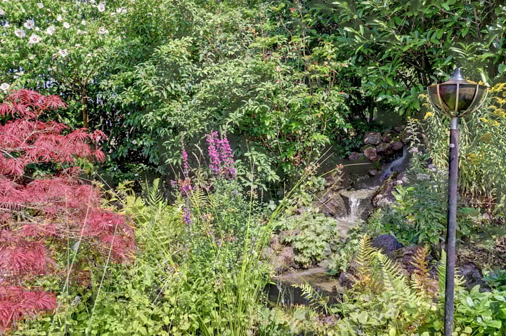 Foto 40 van Bogerdweg 37