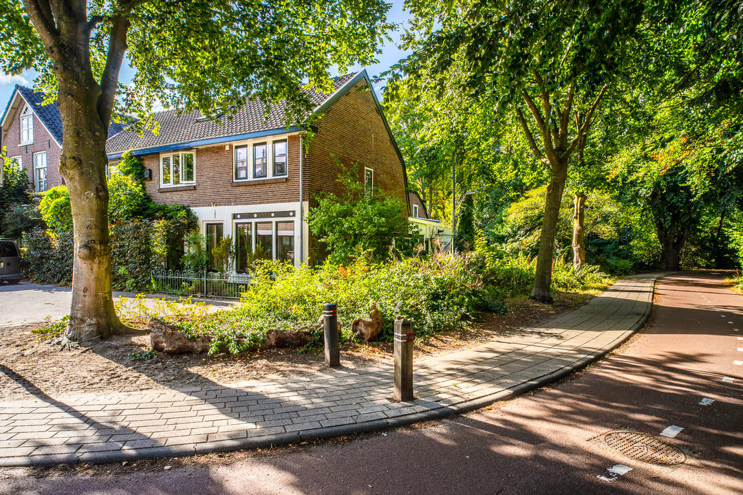 Foto 53 van Bosstraat 25