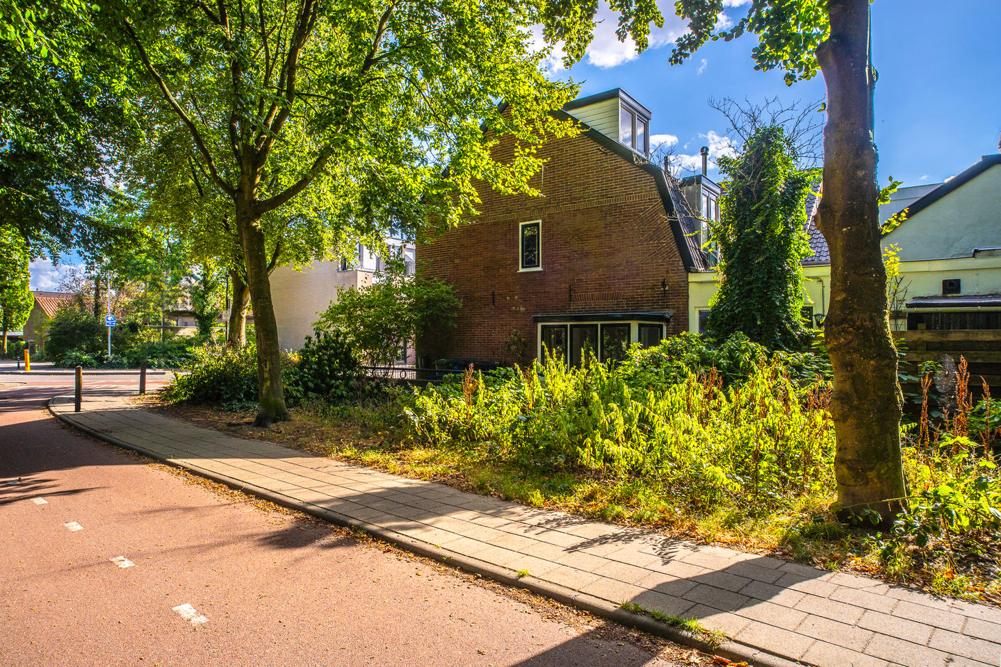 Foto 55 van Bosstraat 25