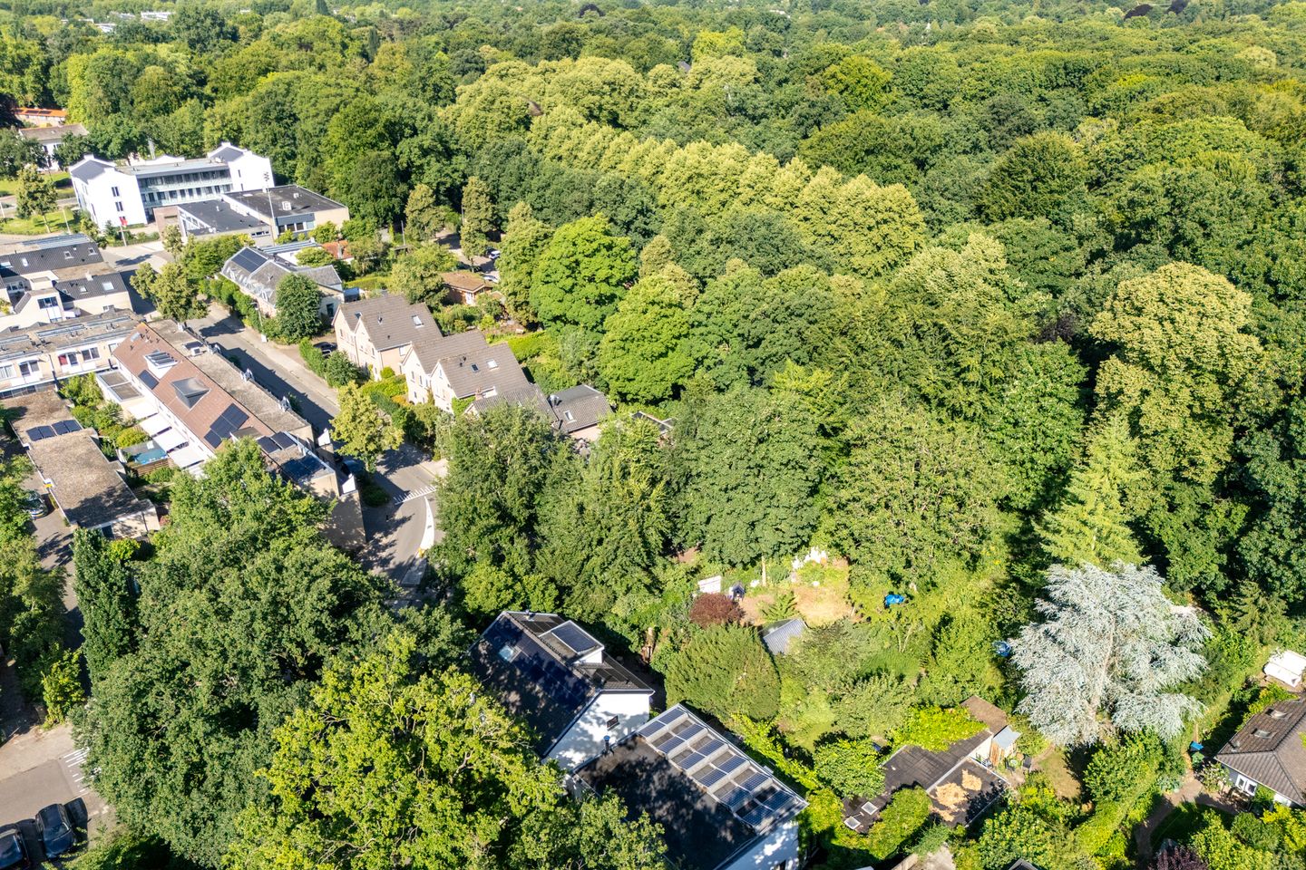 Foto 59 van Bosstraat 25