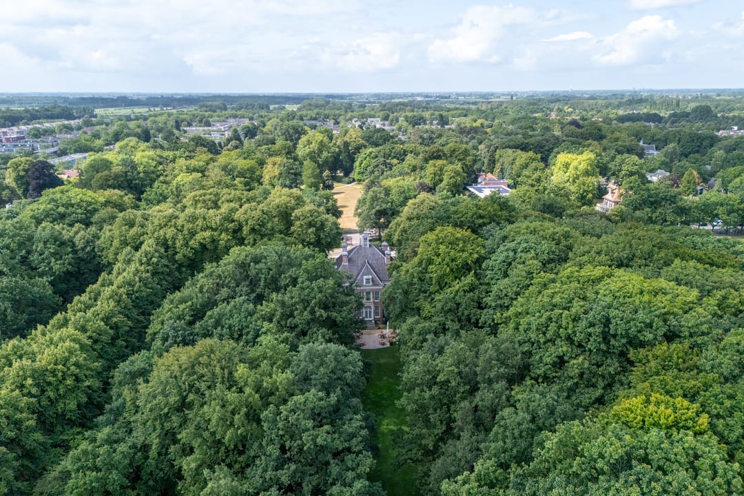 Foto 61 van Bosstraat 25