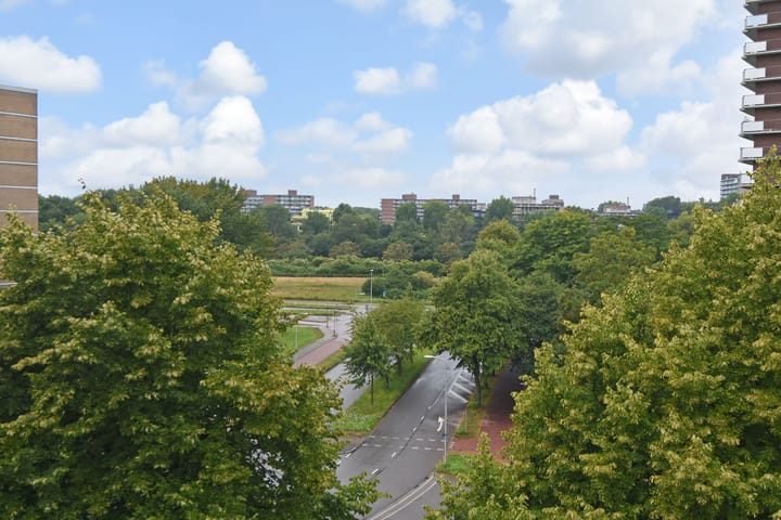 Foto 20 van Dunantstraat 858