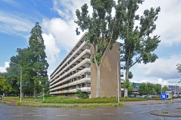 Foto 44 van Dunantstraat 858