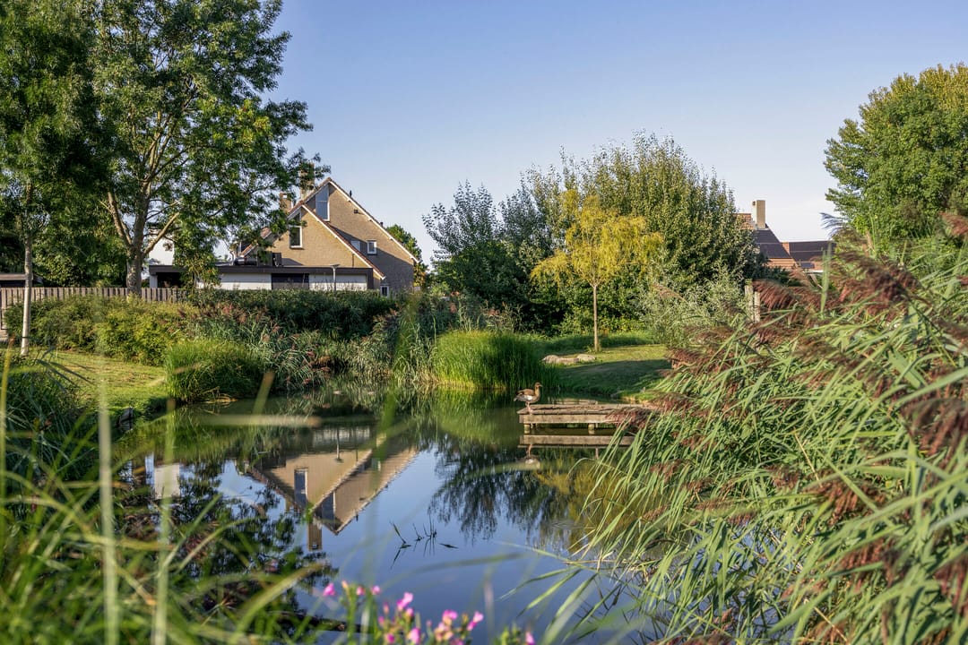 Foto 38 van Schildmanstraat 13