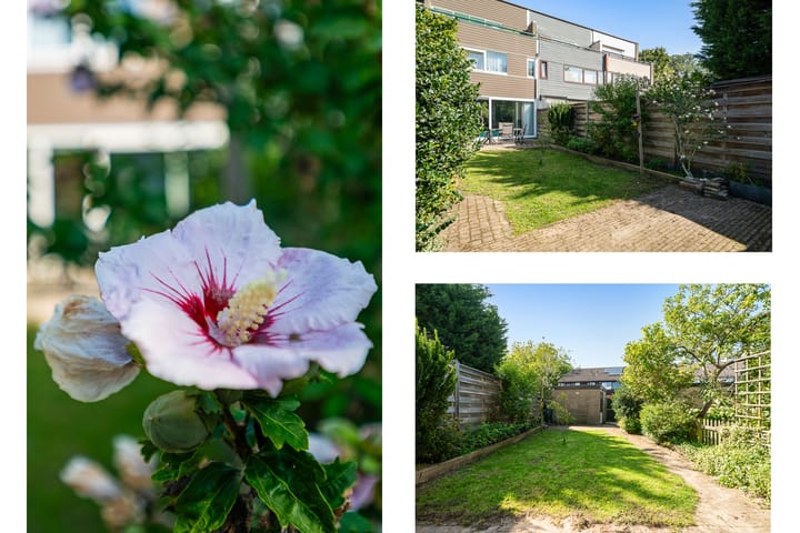 Foto 20 van Jan van Zutphenstraat 19