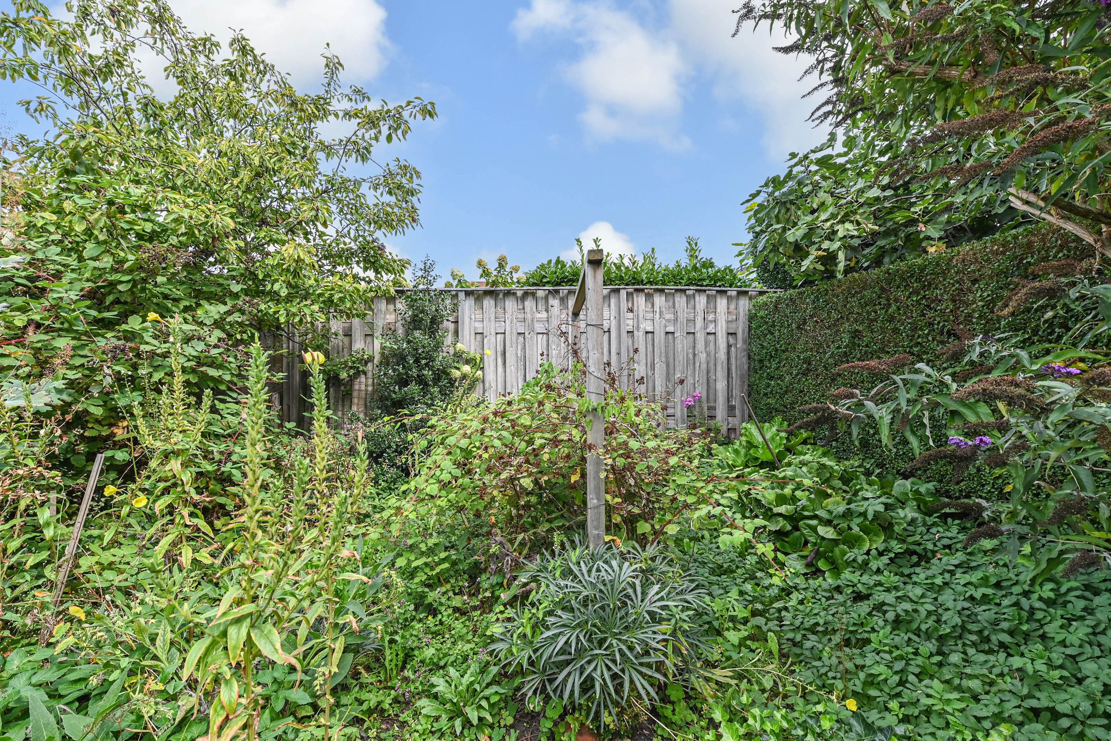 Foto 66 van Hoekeindseweg 35