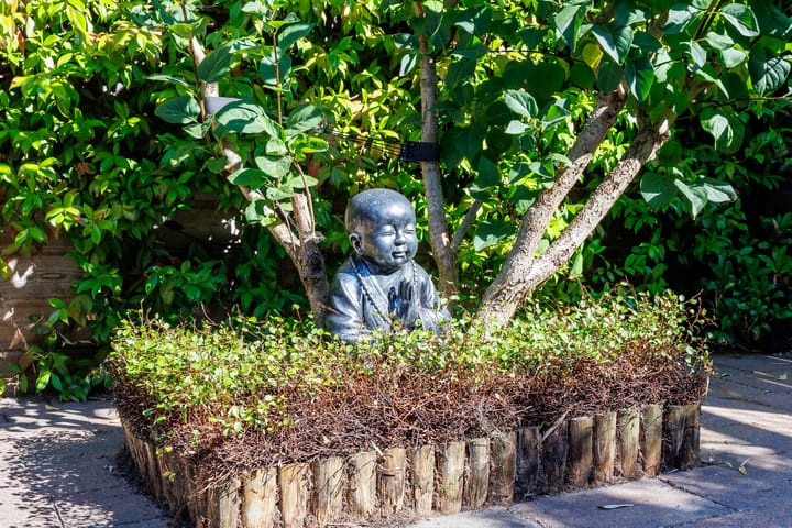 Photo 25 of Malvert 5322