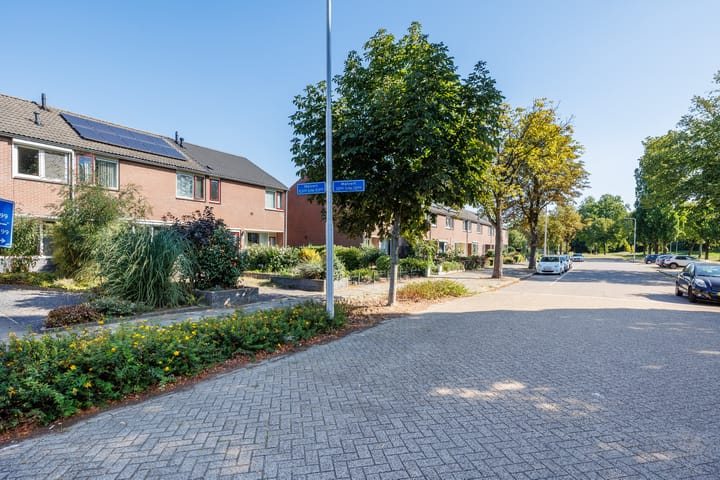 Photo 50 of Malvert 5322