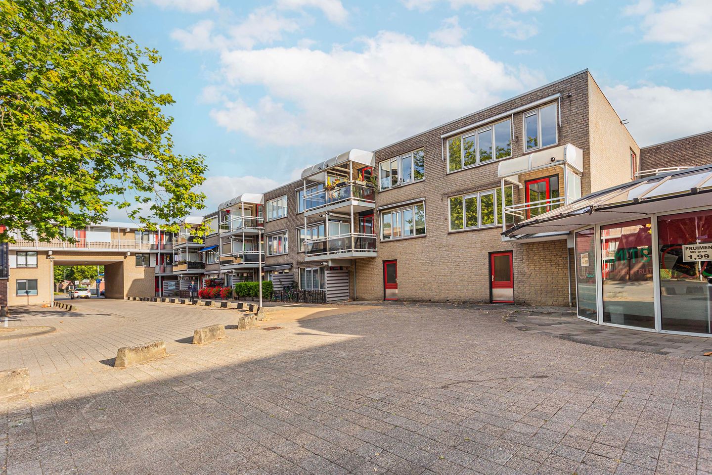 Foto 1 van Suze Groenewegstraat 46