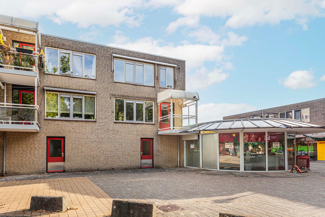 Foto 2 van Suze Groenewegstraat 46