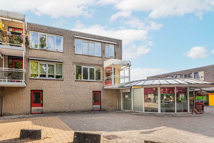 Foto 2 van Suze Groenewegstraat 46