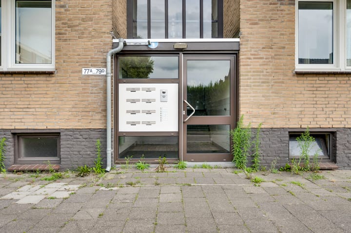 Photo 4 of Wolkammersdreef 77-A