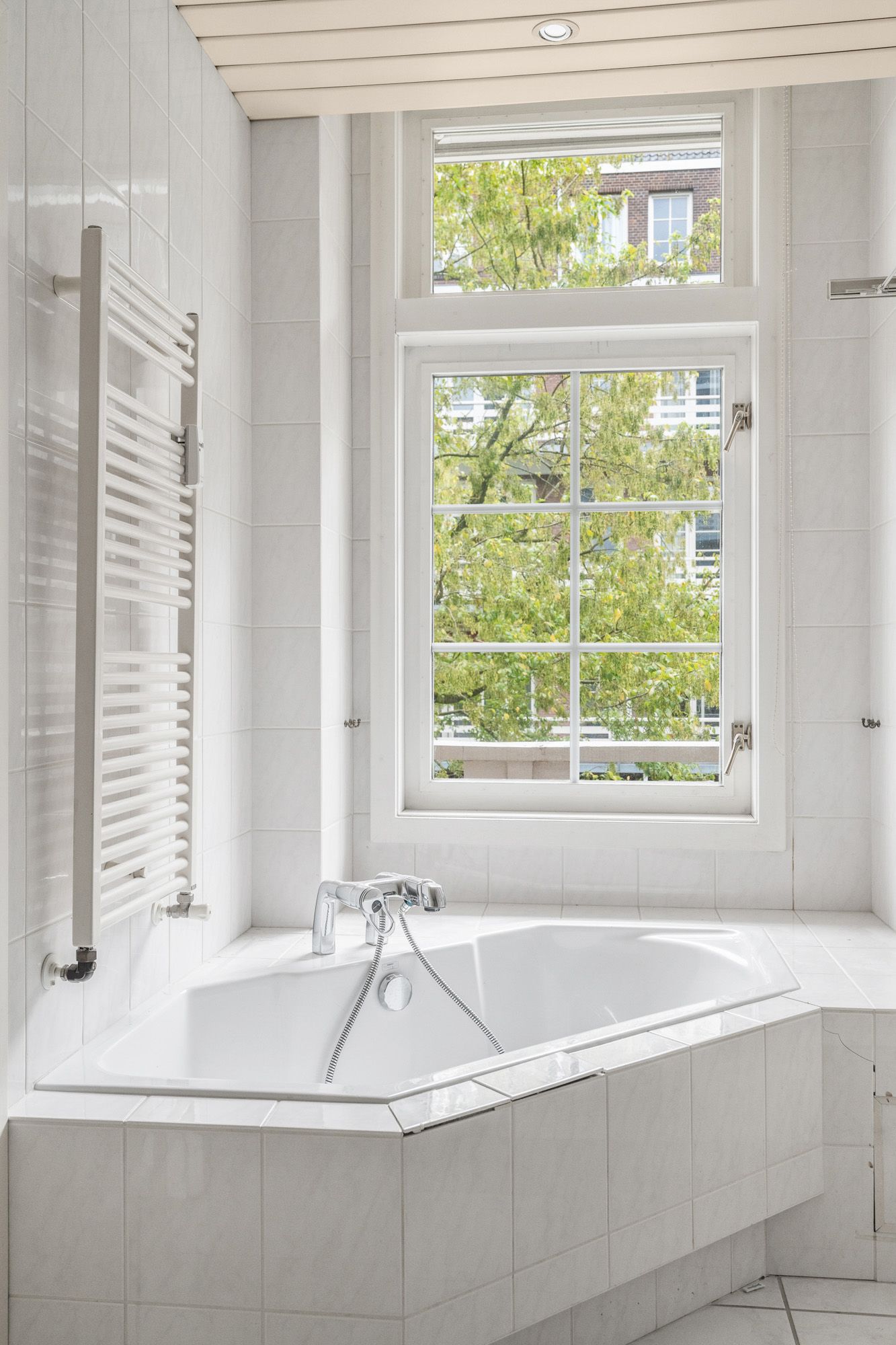 Foto 34 van Minervalaan 87-1