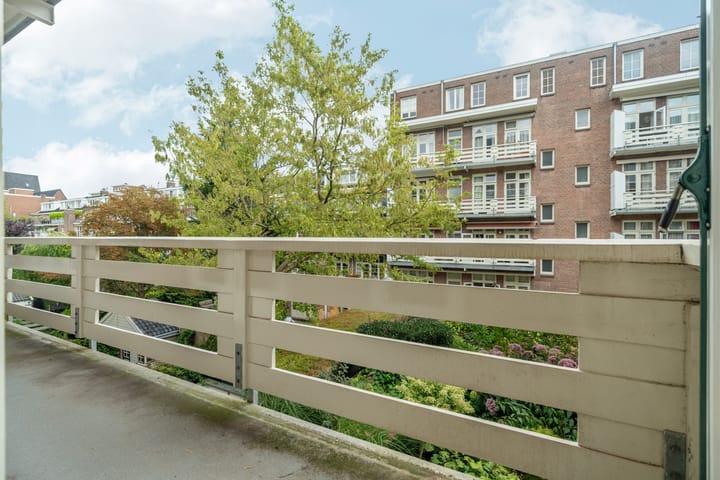 Foto 43 van Minervalaan 87-1