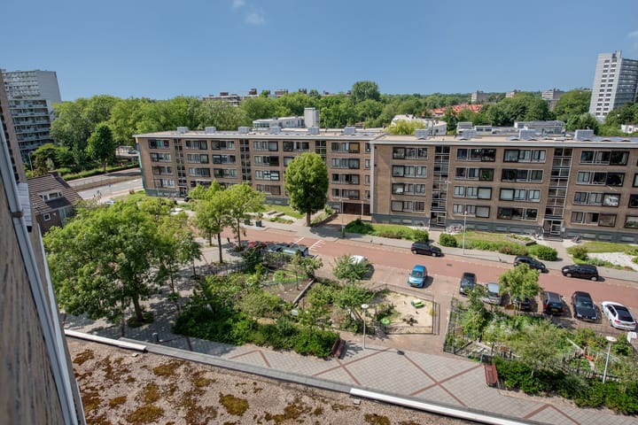 Foto 17 van Dignaland 56