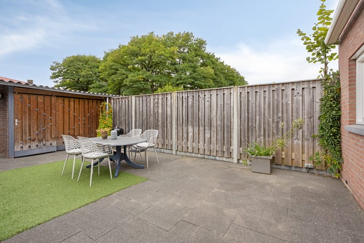 Foto 18 van Orion 20