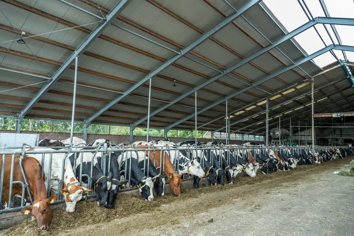 Meedhuizerweg 1-A, Meedhuizen