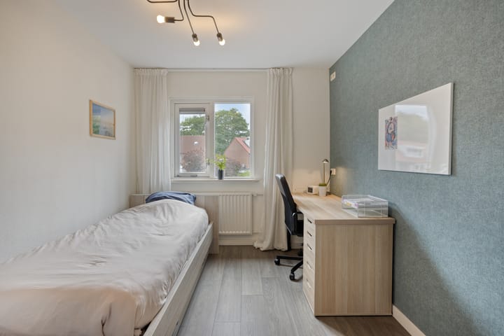 Foto 27 van Orion 20