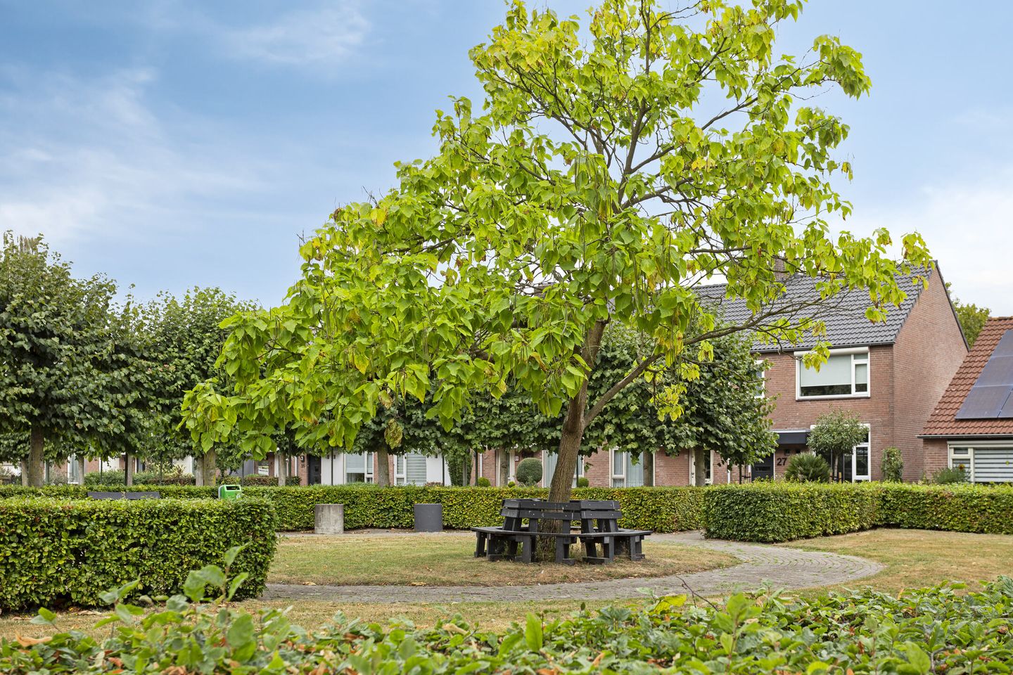 Foto 34 van Orion 20