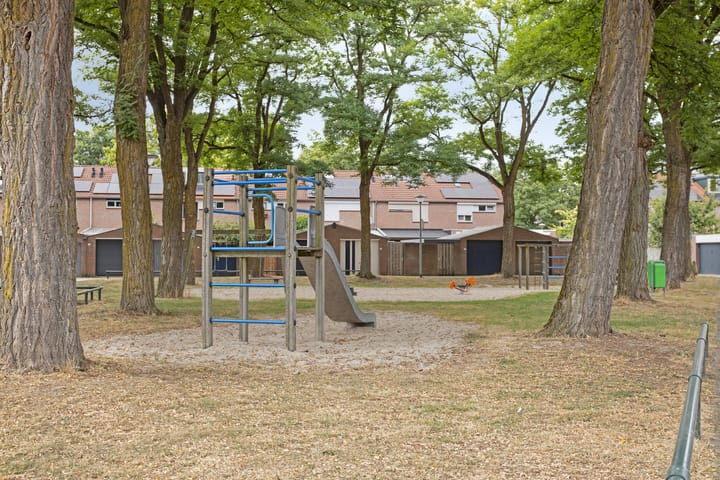 Foto 35 van Orion 20