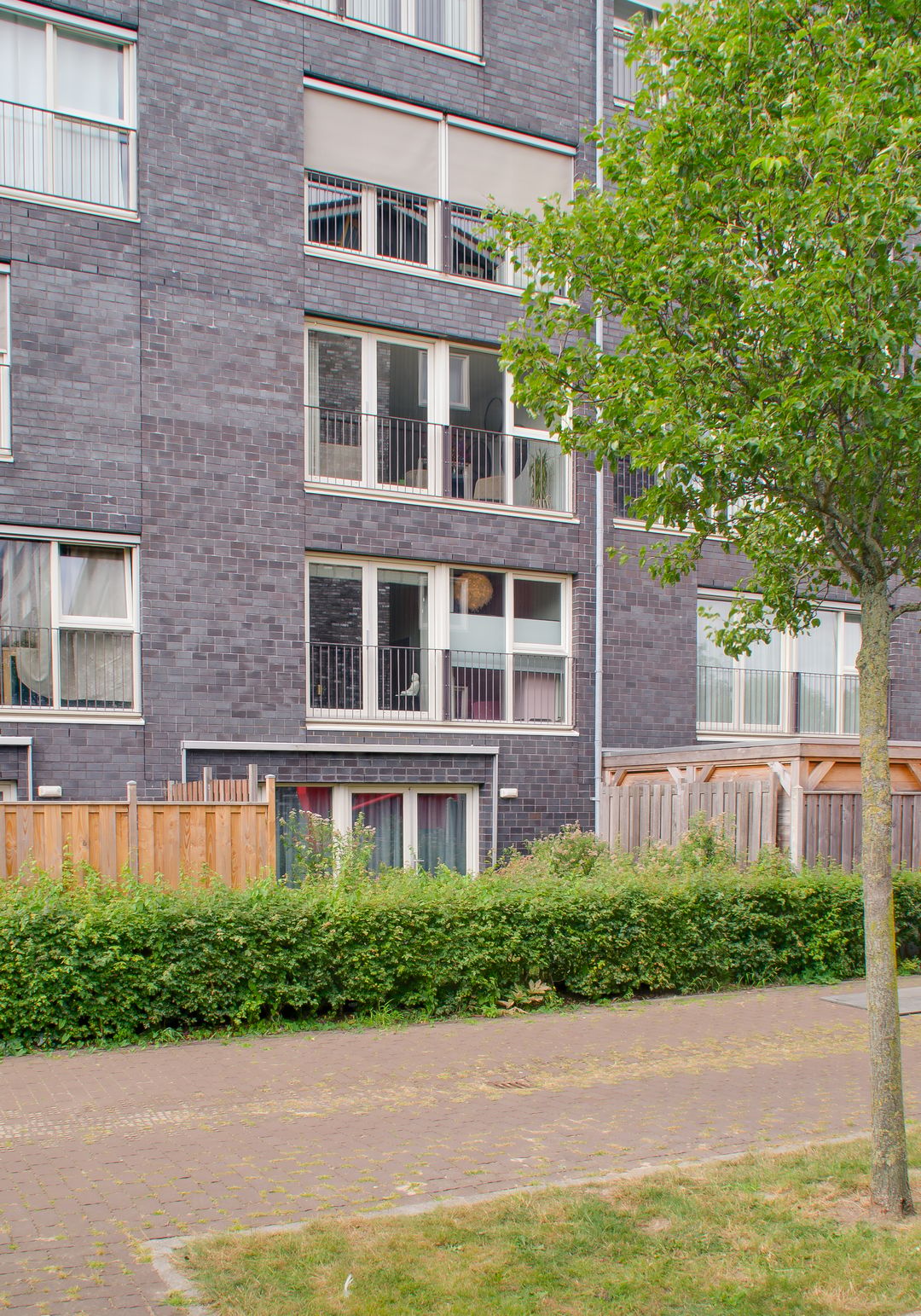 Photo 31 of Waddenweg 227