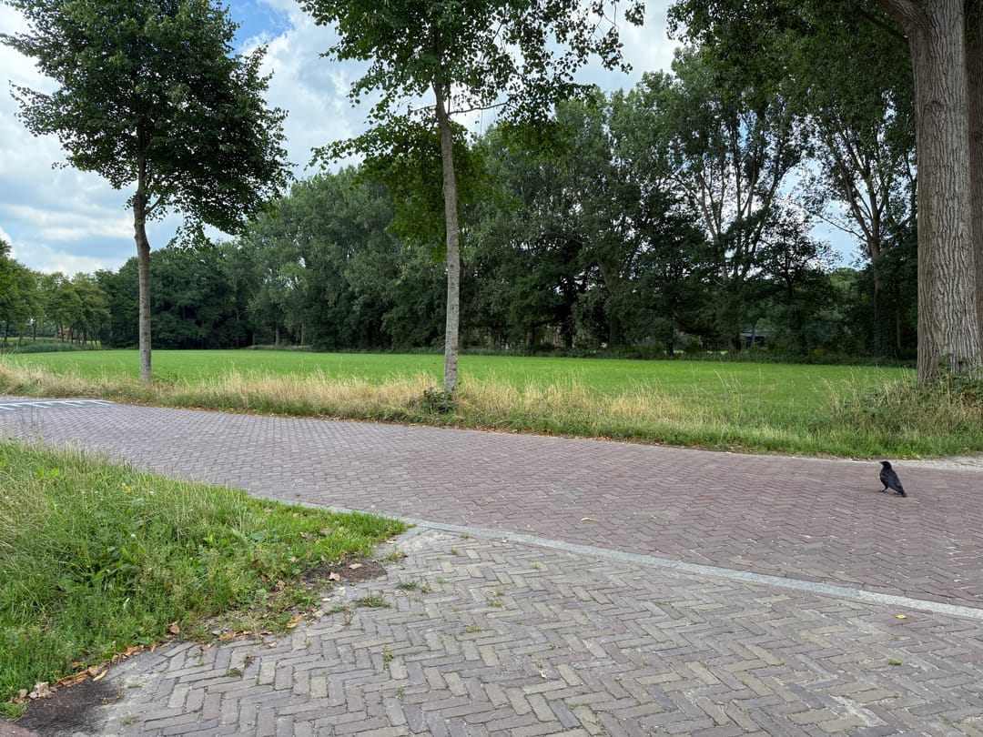 Foto 23 van Beukenlaan 2